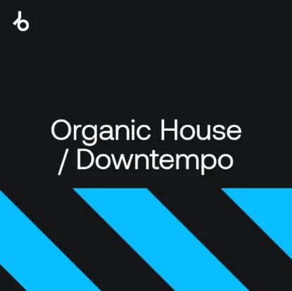 Beatport Best of Hype 2024: Organic House / Downtempo