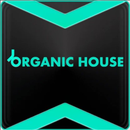 Organic House | new release | Sergey Masterov