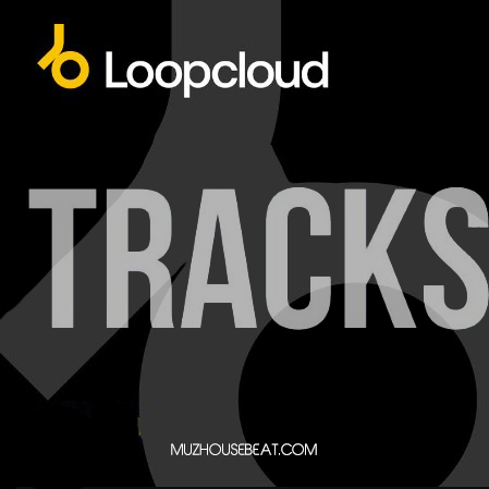 Beatport Loopcloud Top Tracks May 2024