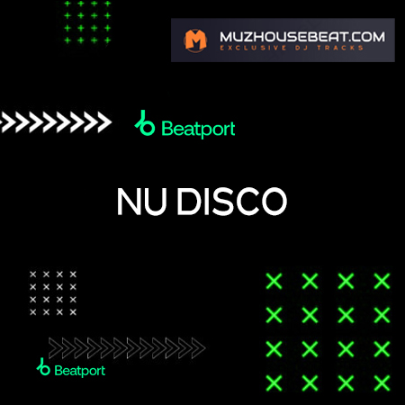 Nu Disco / Disco Beatport Top Dj Tracks 2024