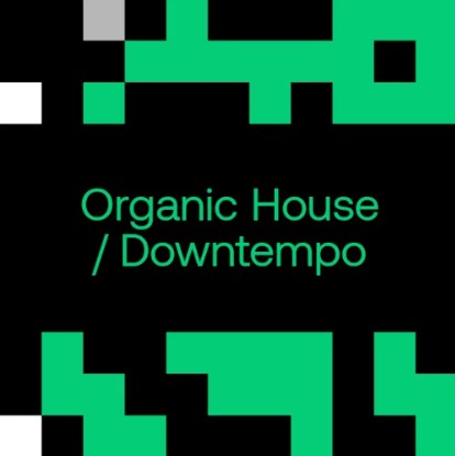 Beatport Best Of 2024 So Far: Organic H / D