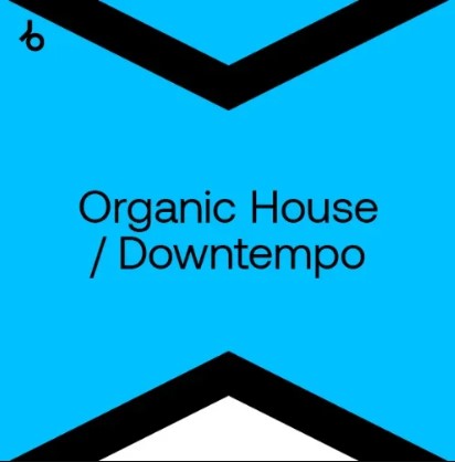 Beatport Best New Hype Organic H / D: April 2024