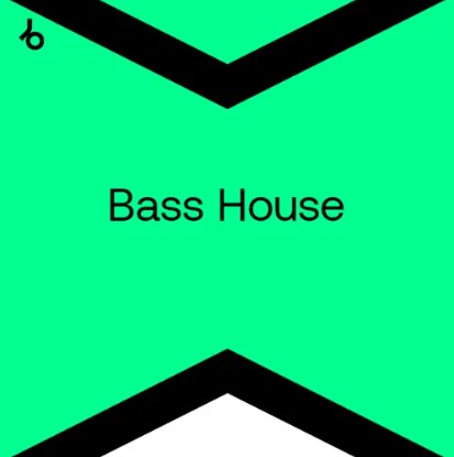 Beatport Top 100 Best New Bass House: May 2024