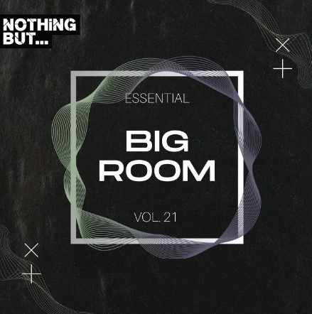 Nothing But... Essential Big Room, Vol. 21