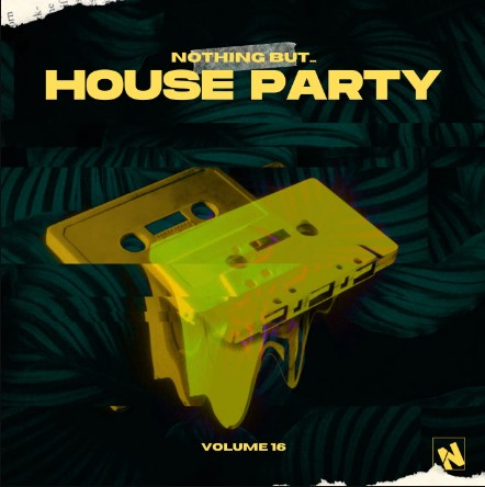 Nothing But… House Party, Vol. 16