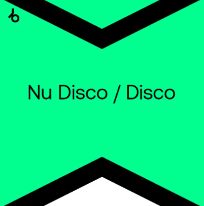 Best New Nu Disco / Disco: Top July 2024