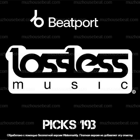 Picks 193 Best Lossless Music 2024-08-23