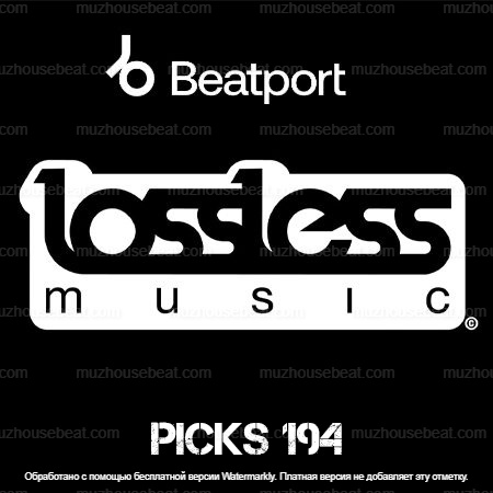 Picks 194 Best Lossless Music 2024-08-23