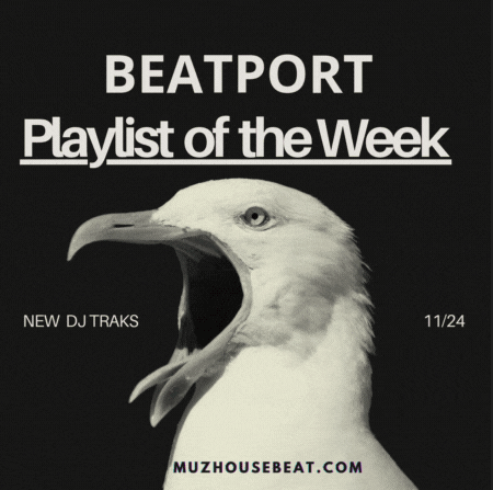 Beatport Playlist of the Week November 2024