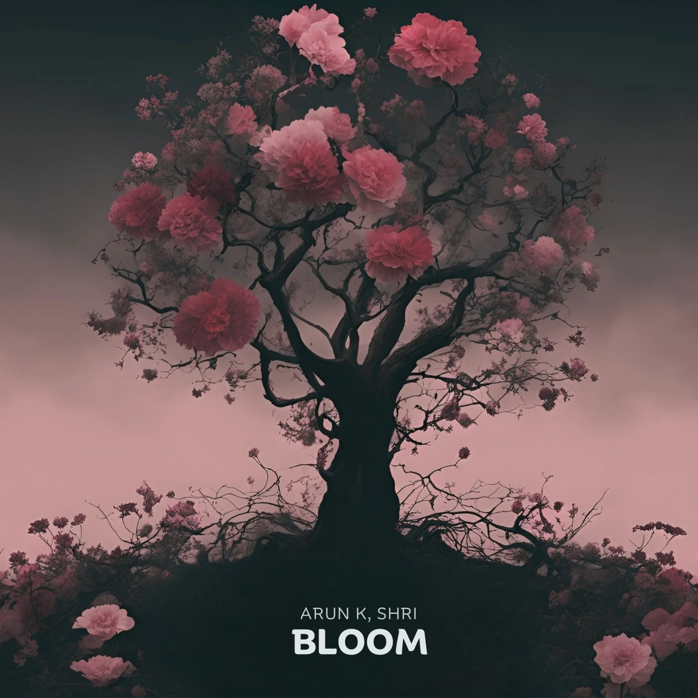 Bloom