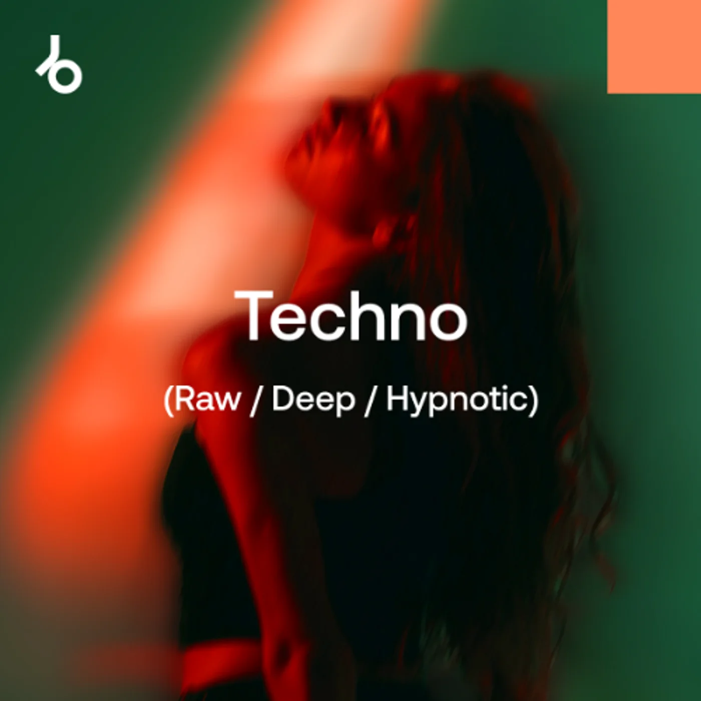 Top Streamed Tracks 2024: Techno (R/D/H)