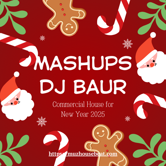 Mashups Remixes Dj Baur Commercial House for New Year 2025