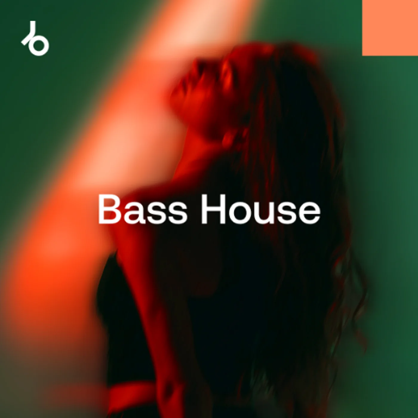 Top Streamed Tracks 2024: Bass House